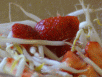 Exotischer Mungosprossen-Salat mit Erdbeeren