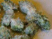 Gnocchis mit Spinat
